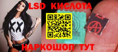 индика Рузаевка
