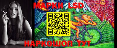 индика Рузаевка